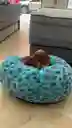 Cama Mascotas Dona