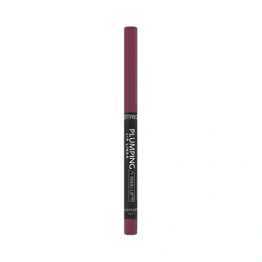 Lapiz Labial Catrice Plumping T90 The Wild One