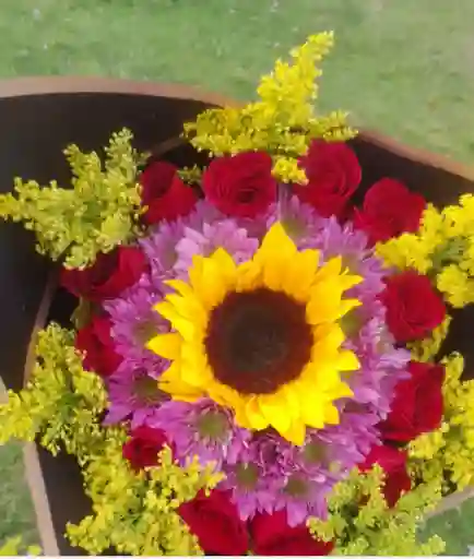 Girasoles Encantados