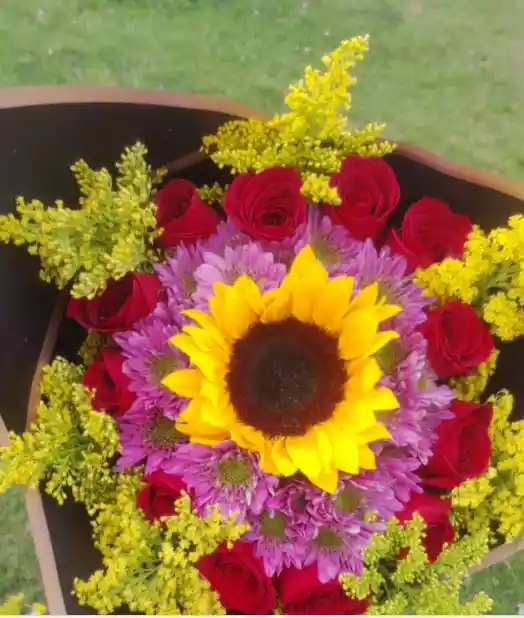 Girasoles Encantados