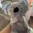 Koala Que Respira