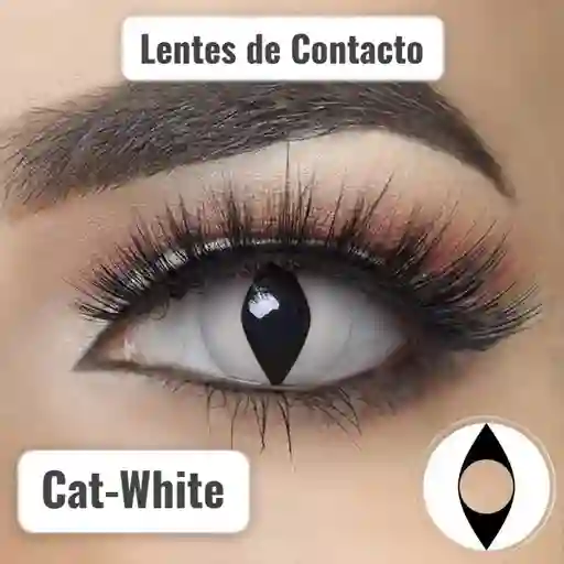 Lentes De Contacto Cat White Halloween