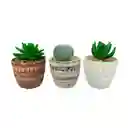 Planta Art Decor Concepts Savanna 3 Und 7x10x7cm Multicolor Ceramica
