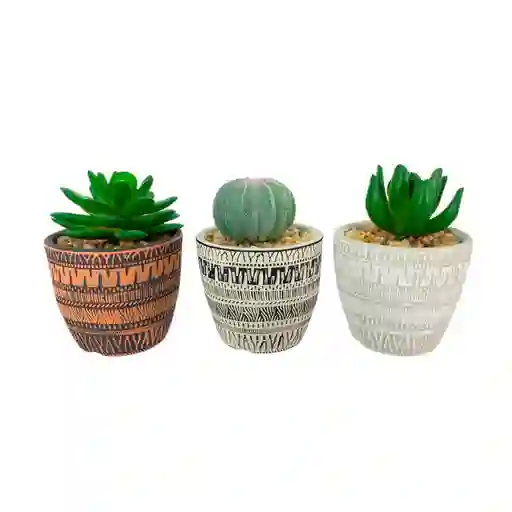Planta Art Decor Concepts Savanna 3 Und 7x10x7cm Multicolor Ceramica