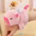 Pulsera Peluche Capibara Cola Giratoria Luz Y Sonido