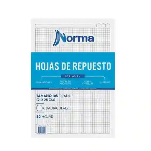 Repuesto Folder Norma Cuadriculado X80