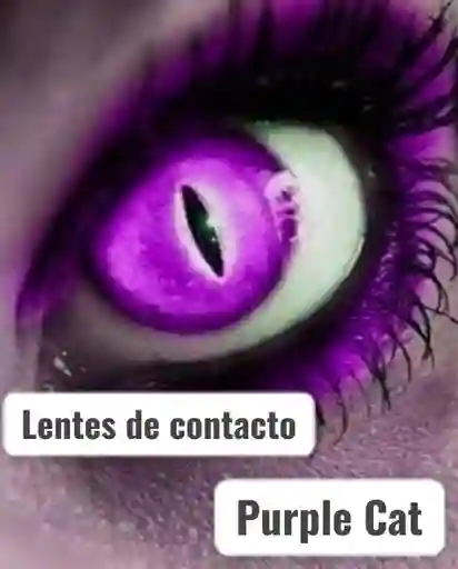 Lentes De Contacto Cat Purple Halloween