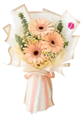 3 Gerberas Bouquet