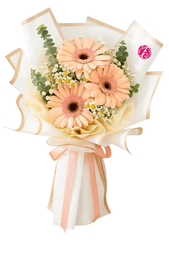 3 Gerberas Bouquet