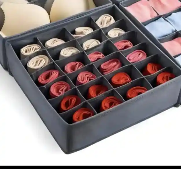 Organizadores Para Ropa Interior