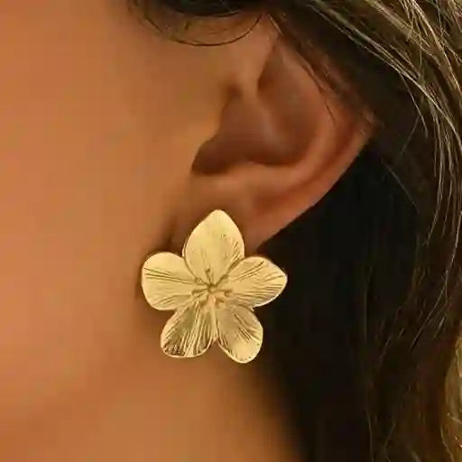 Aretes Flor Dorado