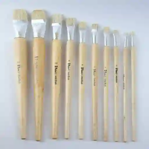 Pincel Tody #01 Plano