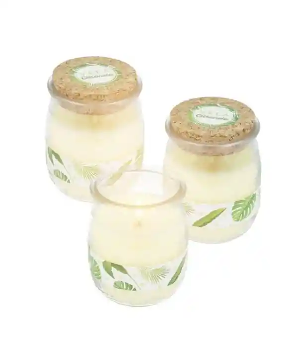 Frasco Vidrio 100 Ml Con Corcho Plano