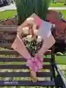 Princesa *12