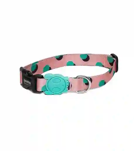 Polka Collar Large