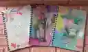 Cuaderno Argollado Cuadros Dama Grande Economico Pappyer 80 Hojas