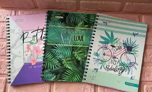 Cuaderno Argollado Cuadros Dama Grande Economico Pappyer 80 Hojas