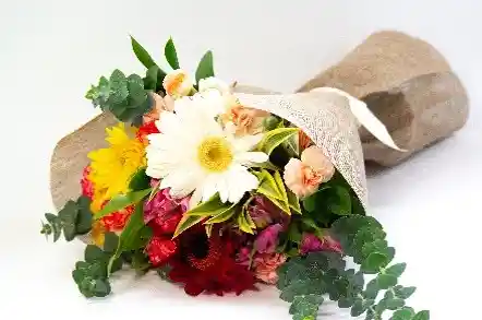 Bouquet De Gerberas, Claveles Y Astromelias Combo Chocolate Con Ferrero Rocher Pequeño