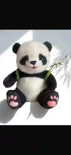 Panda Con Osito