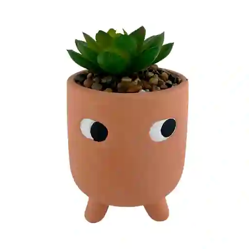 Planta Ojos Concepts Savanna 7x11x7cm Terracota Ceramica