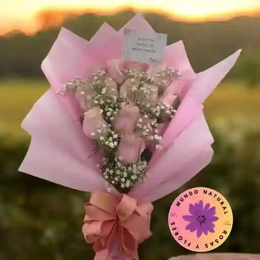 Flores Rosas Rosadas Con Gypsophila Amor Y Amistad
