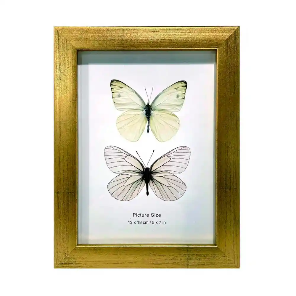 Portaretrato Concepts Luxor 20x1cm Dorado Mdf