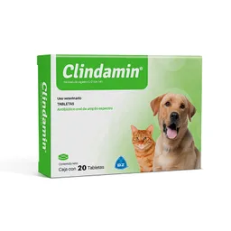 Clindamin X Tableta