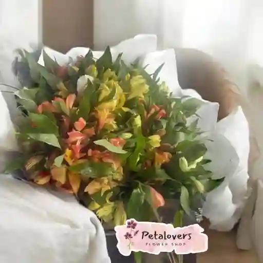 Flores Astromelias Surtidas Amor Y Amistad