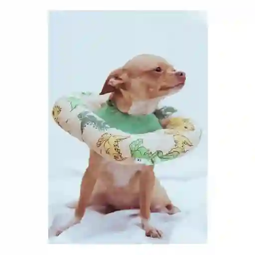 Collar Dona Acolchado Talla Xs