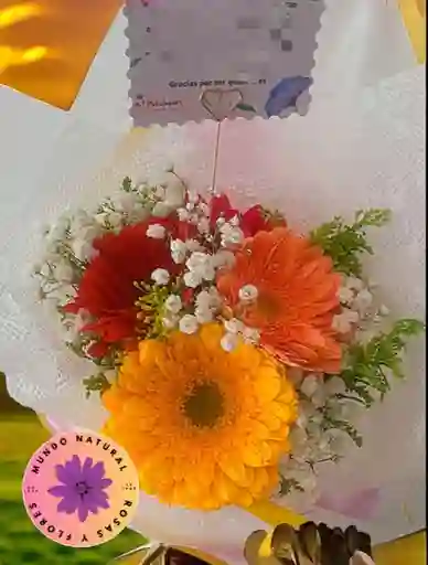 Flores Arreglo De 4 Gerberas Surtidas