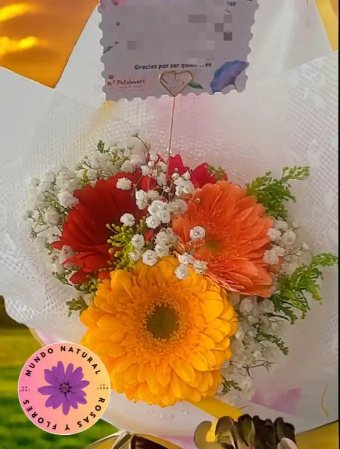 Flores Arreglo De 4 Gerberas Surtidas