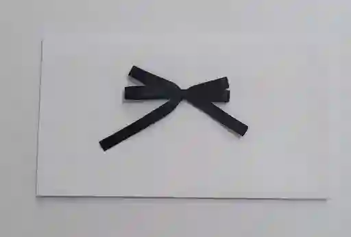 Lluvia De Sobre Blanco Con Lazo En Tela