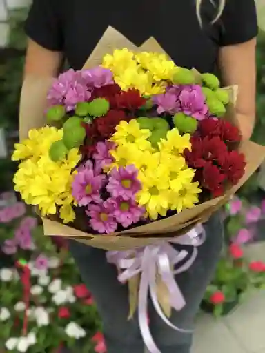 Ramo Margaritas Multicolor 🌼
