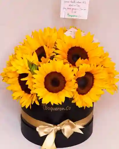 Girasoles En Caja