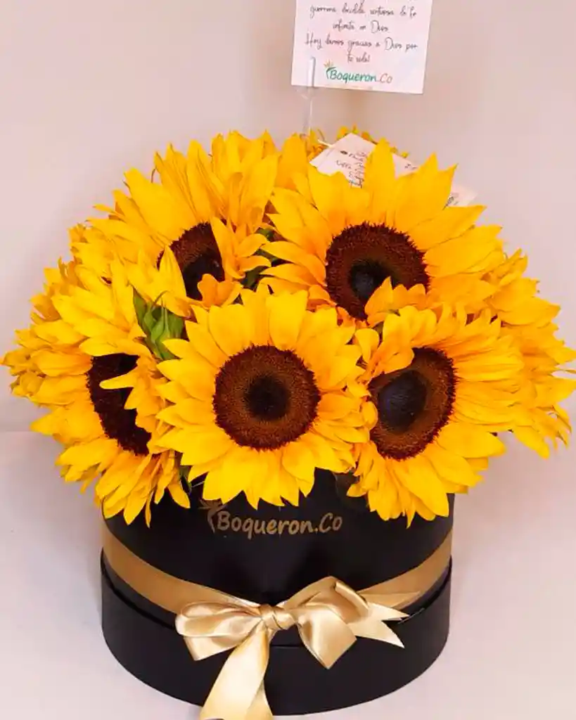 Girasoles En Caja