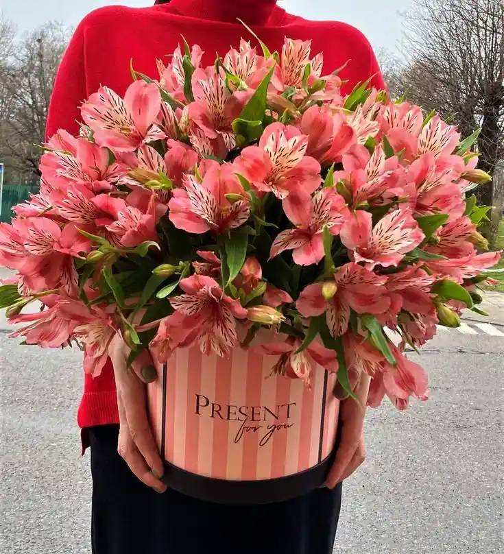 Caja Deluxe De Alstroemerias 🌸