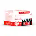Luces Led Expressions Funciones 200 Pz 1095cm Blanco 110 V