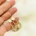 Aretes Camelias Tornasol Con Piedras