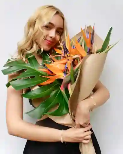 Flores Aves Del Paraiso