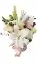 Flores De Condolencias