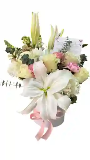 Flores De Condolencias