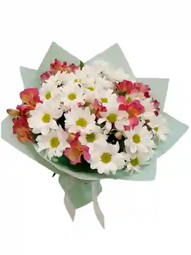 Flores De Margaritas Blancas Y Astromelias