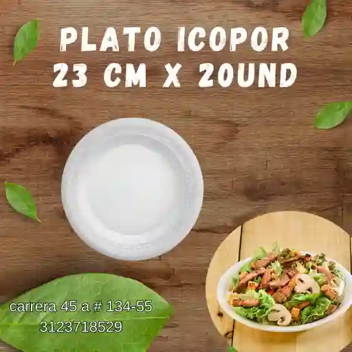 Plato Icopor Darnel 23 Cm X 20 Und