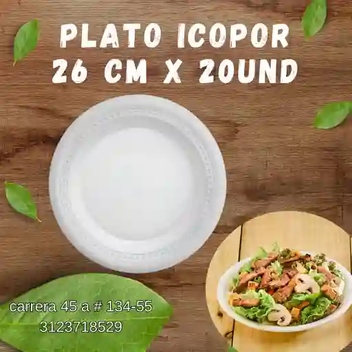 Plato Icopor Darnel 26 Cm X 20 Und