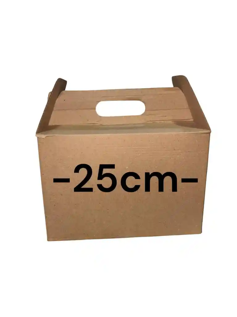 Caja De Carton Microcorrugado 25x15x17cm Maletin