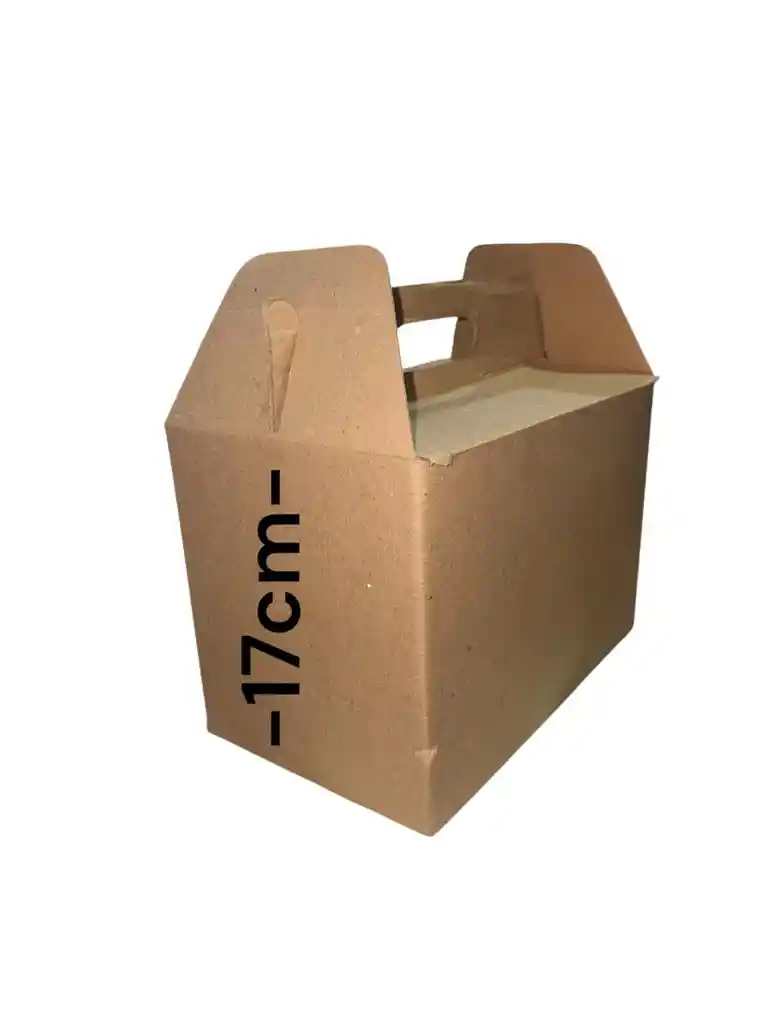 Caja De Carton Microcorrugado 25x15x17cm Maletin