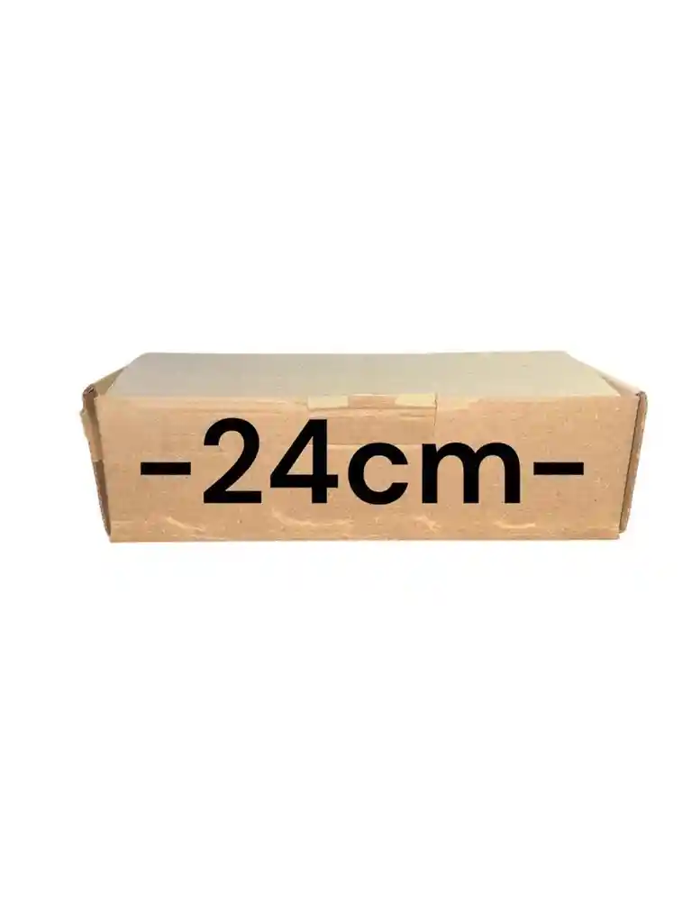 Caja De Carton Microcorrugado 24x10x7cm Plegable