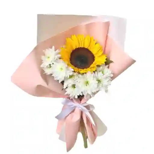 Girasol Y Margaritas Blancas