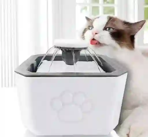 🐱🐶 Fuente De Agua Para Mascotas 2.5l – Con Filtros Y Motor Silencioso