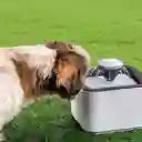 🐱🐶 Fuente De Agua Para Mascotas 2.5l – Con Filtros Y Motor Silencioso